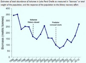 Kokanee Salmon biomass in Pend Oreille
